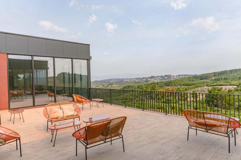 Douro: Martha's Cellar - Visit and Tawny Tasting - The Highlight: Tawny Port and Brandy Tastings