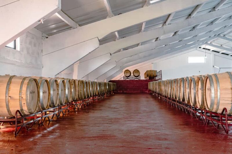 Douro: Martha's Harvest - DOC Wine Tour and Tasting - Discover the Douro with Marthas Harvest DOC Wine Tour