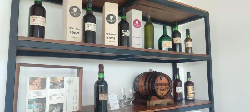 Douro: Martha's Harvest - DOC Wine Tour and Tasting - Exploring Marthas Family and Company History