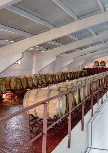 Douro: Martha's Harvest - DOC Wine Tour and Tasting - Visiting the Wine Cellar and Aging Balcony