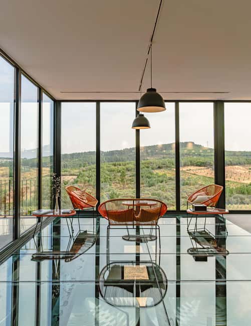 Douro: Martha's Harvest - DOC Wine Tour and Tasting - The Tasting of Four DOC Wines