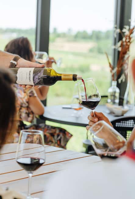 Douro: Martha's Selection - Premium Wine Tour and Tasting - Exploring the Company’s Rich History from 1727