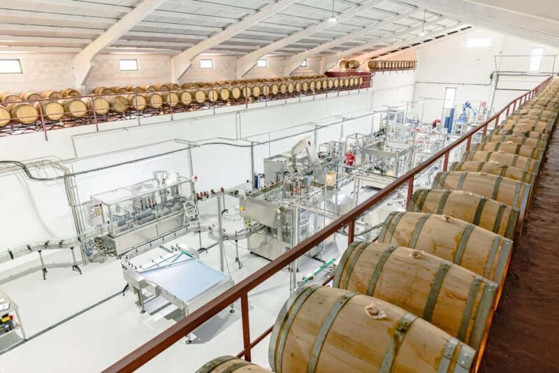 Douro: Martha's Selection - Premium Wine Tour and Tasting - The Panoramic Window Over the Douro Plateau