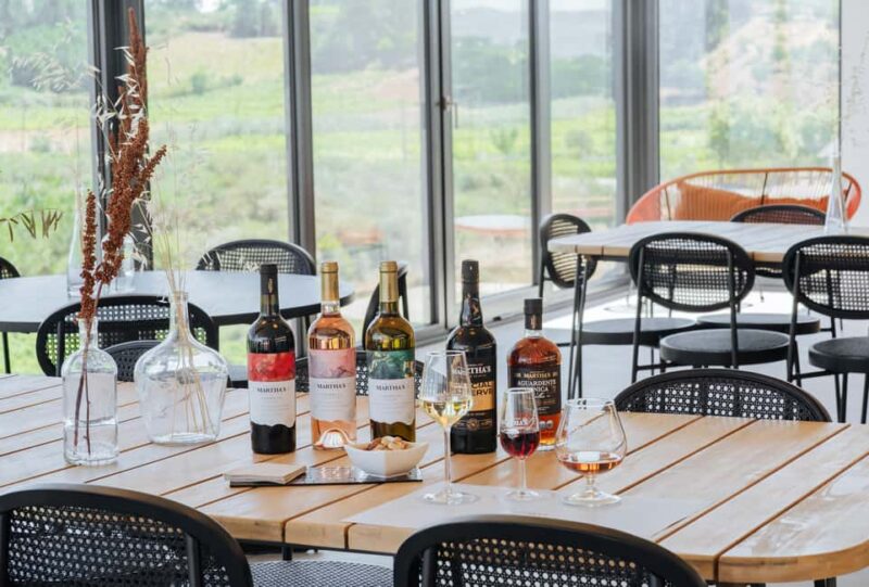 Douro: Martha's Welcome - Wine Tour and Tasting - Exploring the Winery and Winemaking Process