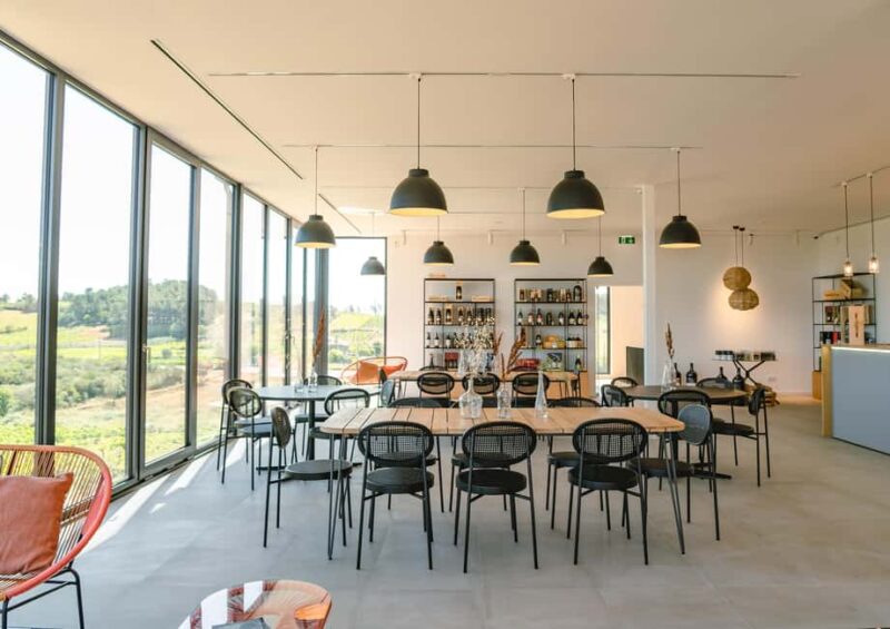 Douro: Martha's Welcome - Wine Tour and Tasting - The Experience of Marthas Spritz and Family History