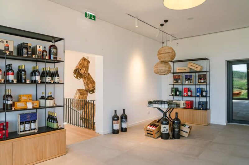 Douro: Martha's Welcome - Wine Tour and Tasting - Tasting the Best of Douro: Wines, Port, and Brandy