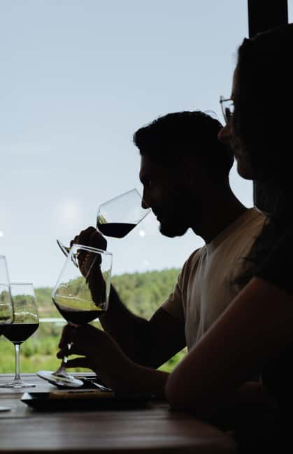 Douro: Martha's Welcome - Wine Tour and Tasting - The Value of a Short but Instructive Tour