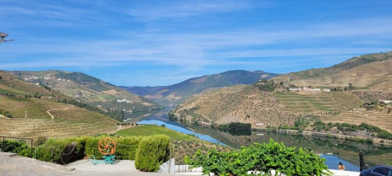 Douro melhor experiência vinho e comida Portuguesa - Exploring the Douro Valley with guided vineyard tours