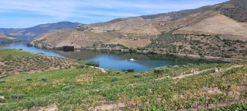 Douro melhor experiência vinho e comida Portuguesa - Gourmet dinner and sunset viewing in a private estate