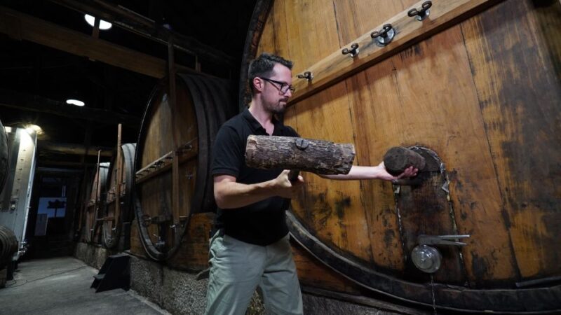 Douro: Porto Wine Tasting with Guided Tour - Discover the Douro Valley with a Port Wine Experience at Quinta do Beijo