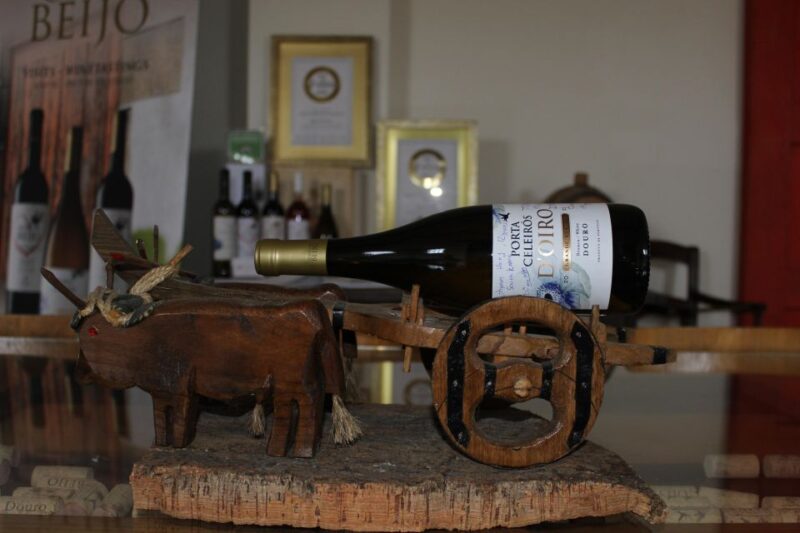 Douro: Porto Wine Tasting with Guided Tour - Gourmet Pairings Elevate the Tasting Experience