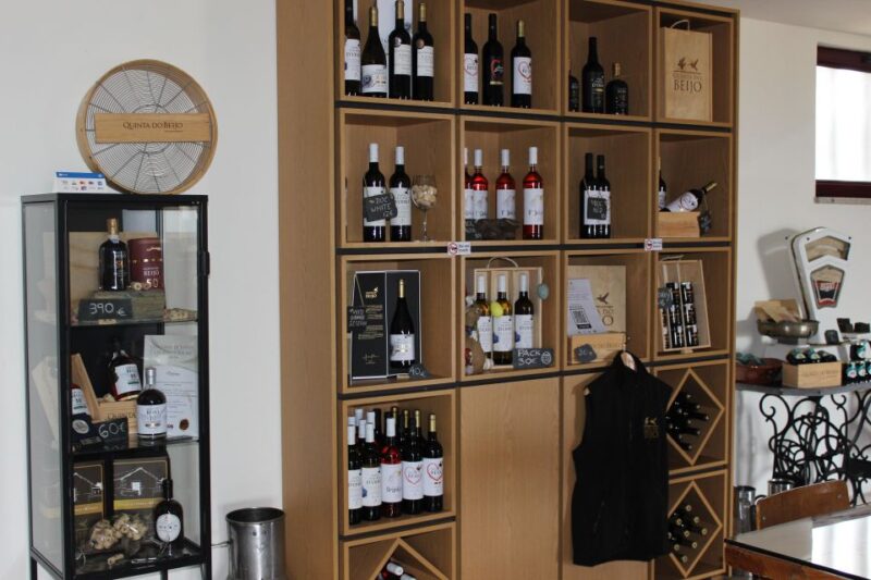 Douro: Porto Wine Tasting with Guided Tour - The Guided Tour of Quinta do Beijo’s Cellars and Facilities