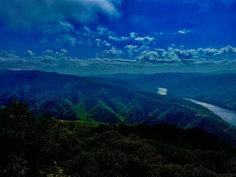 DOURO PREMIUM - Explore the Douro Valley with a 8-Hour Premium Experience