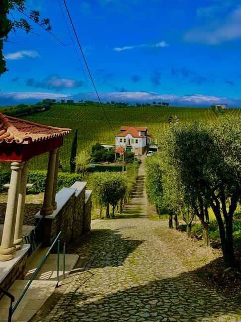 DOURO PREMIUM - Discovering the Panoramic Views of Douro Vineyards