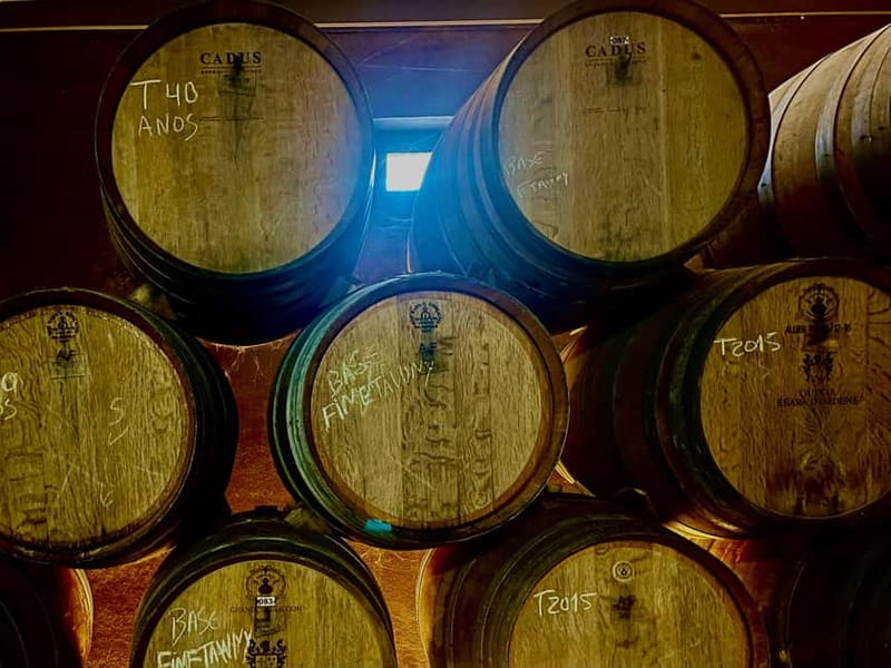 DOURO PREMIUM - Final Stops in Vila Real District with Wine Tasting