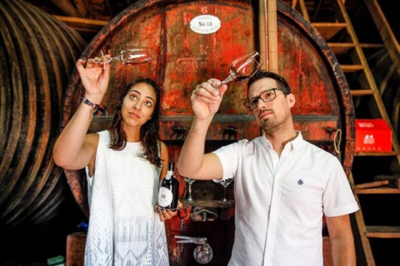 Douro: Premium Wine Tasting and Tapas Tour -  