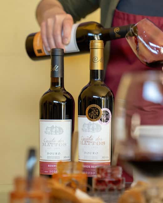 Douro Premium: Wine Tasting, Traditional Lunch, and Galafura Viewpoint - Key Points