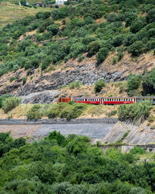 Douro Premium: Wine Tasting, Traditional Lunch, and Galafura Viewpoint - Practical Logistics and Accessibility