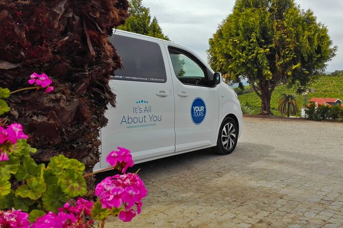 Douro Private Tour Customizable Experience - Scenic Drive on N222: Portugal’s Most Beautiful Road