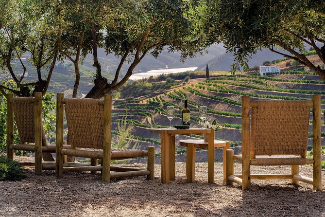 Douro Private Tour Customizable Experience - Visiting a Longstanding Family-Owned Winery