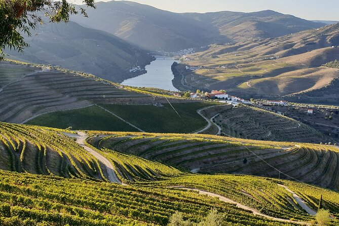 Douro Private Tour Customizable Experience - Optional Add-Ons and Flexibility