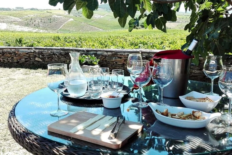 Douro Private Tour  Customizable Experience - Authentic Douro Villages and Cultural Stops