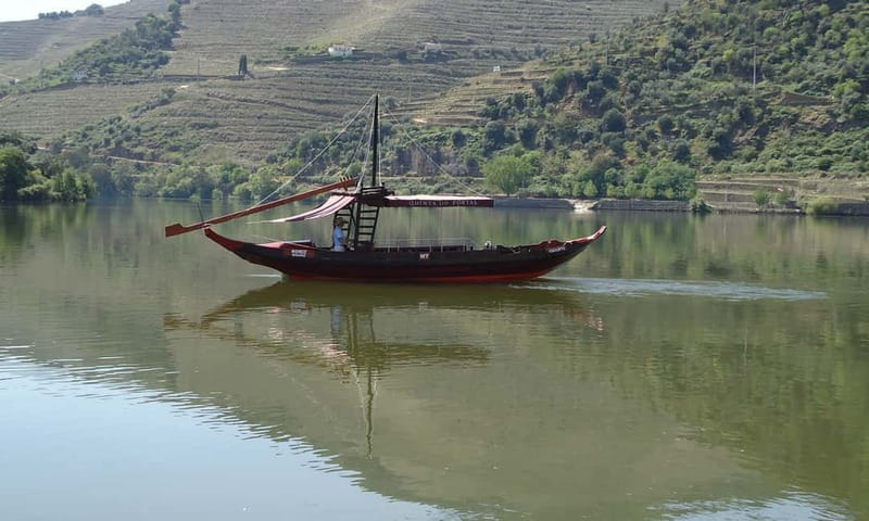 Douro Private Tour  Customizable Experience - Wine Tasting Experiences Tailored to Your Interests