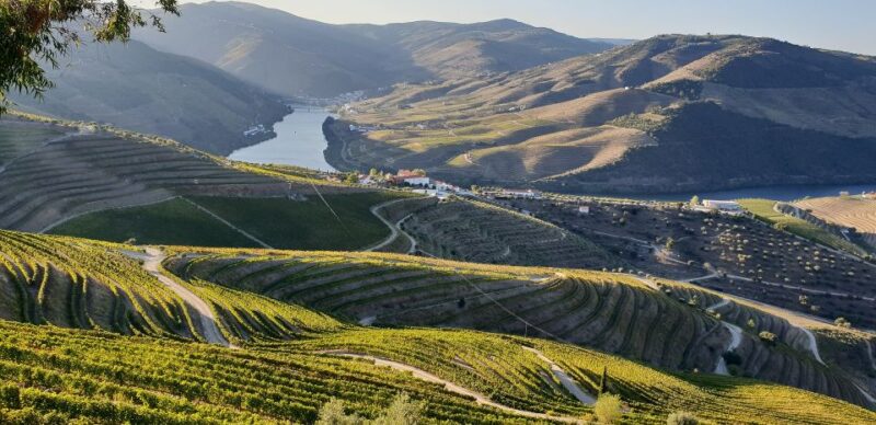 Douro Private Tour  Customizable Experience - Flexibility and Customization of the Day