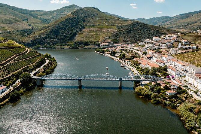 Douro River Cruise - Private River Cruise - Pinhão 1 Hour - Explore the Douro River with a Private Cruise in Pinhão for Just Over $170