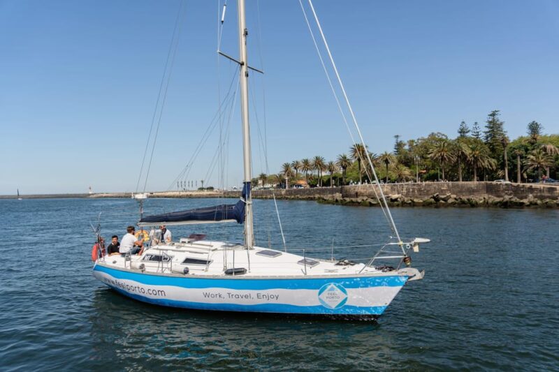 Douro River Cruise with Cheese & Tonic Porto in a Sailboat - Language Options and Guided Commentary