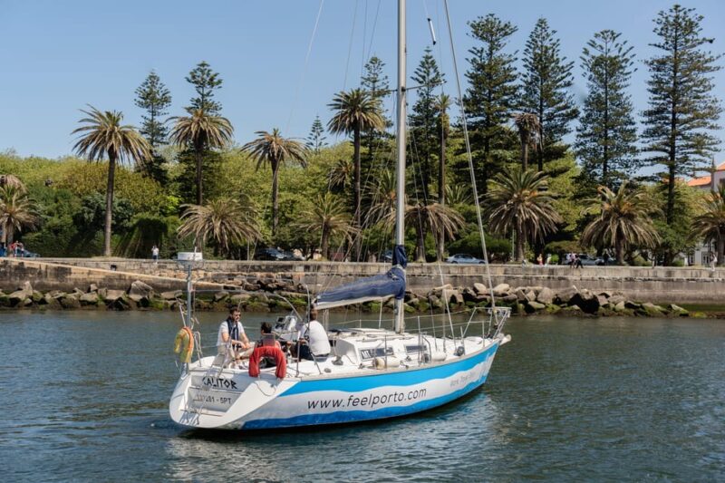 Douro River Cruise with Cheese & Tonic Porto in a Sailboat - Practical Considerations for the Cruise