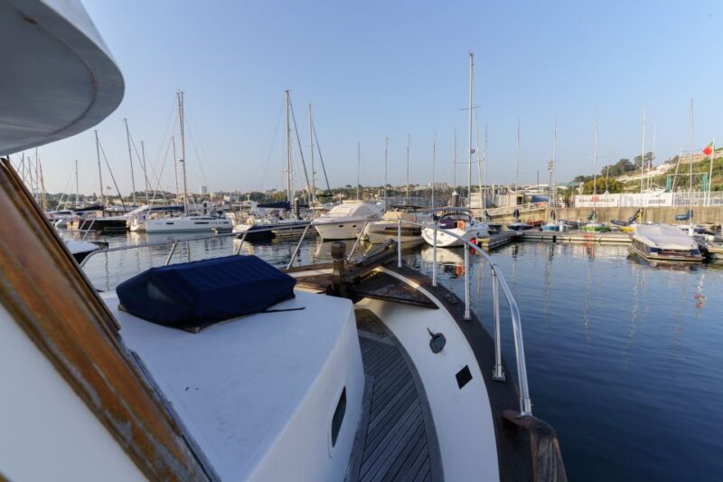 Douro River: Party Boat Tour - Final Thoughts on the Douro River Party Boat Experience