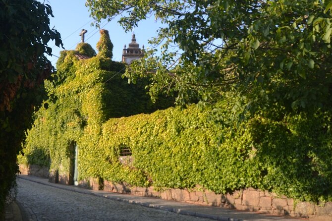 Douro Three Winery Small Group Tour with Lunch and Tastings - Visiting Peso Da Regua, the Gateway to the Douro
