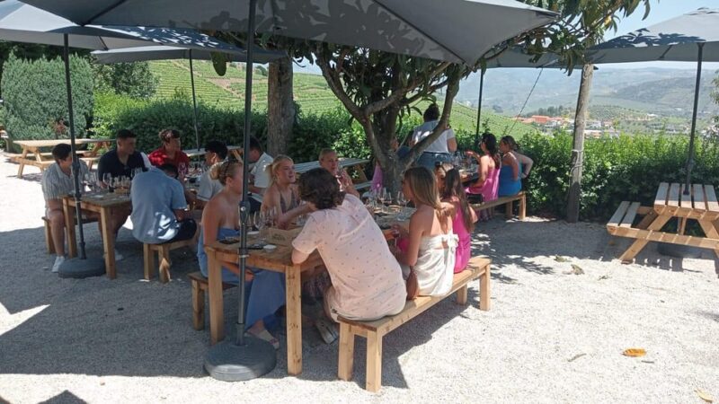Douro Tour with Wine Tasting and Visit to Lamego and Pinhão - What’s Included and What to Bring