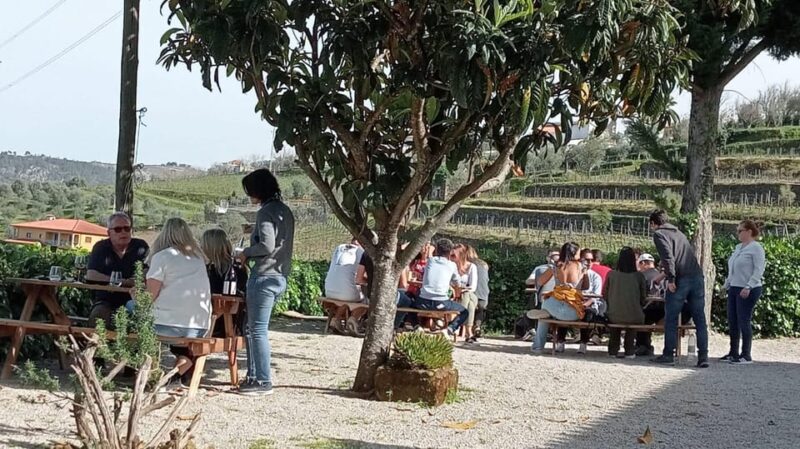 Douro Tour with Wine Tasting and Visit to Lamego and Pinhão - Who Will Appreciate This Tour?