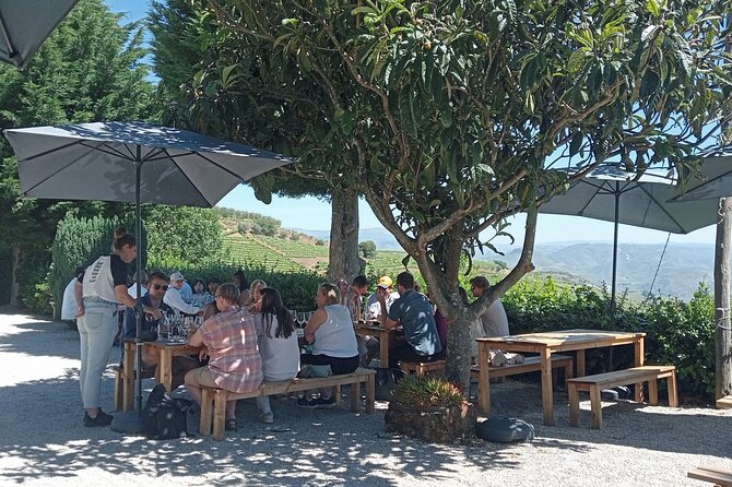 Douro Tour with Wine Tasting, River Cruise and Visit to Lamego - Visiting a Family-Owned Vineyard in Lamego