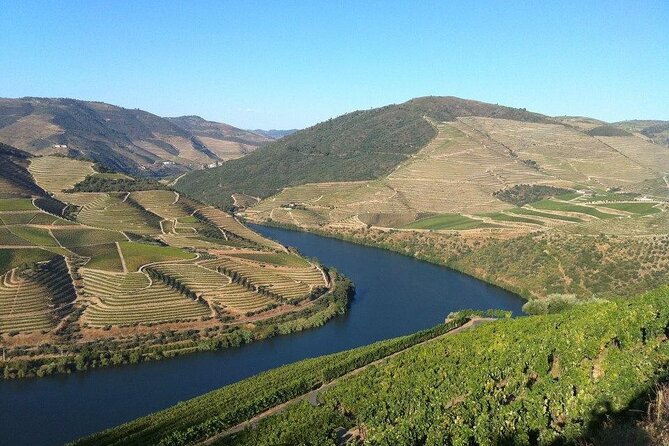 DOURO TOURS - in Pinhão 1 day all inclusive 99, Douro Valley - Tour of a Renowned Port Wine Estate with Tastings