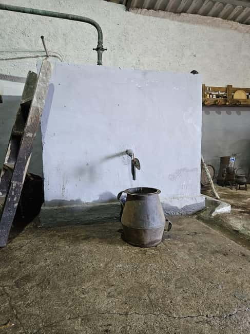 Douro: Traditional Harvest Lunch at Quinta de Sobre a Fonte - Douro: Traditional Harvest Lunch at Quinta de Sobre a Fonte