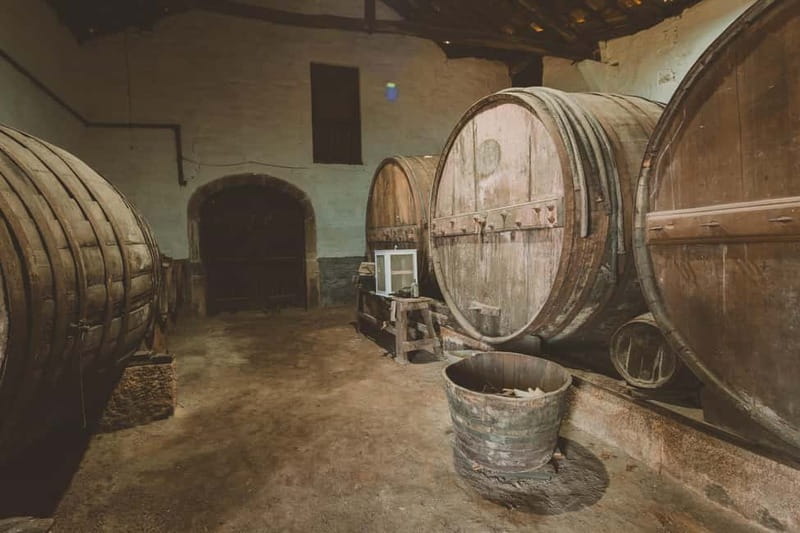 Douro: Traditional Harvest Lunch at Quinta de Sobre a Fonte - Exploring Quinta de Sobre a Fonte’s Vineyard and Cellars