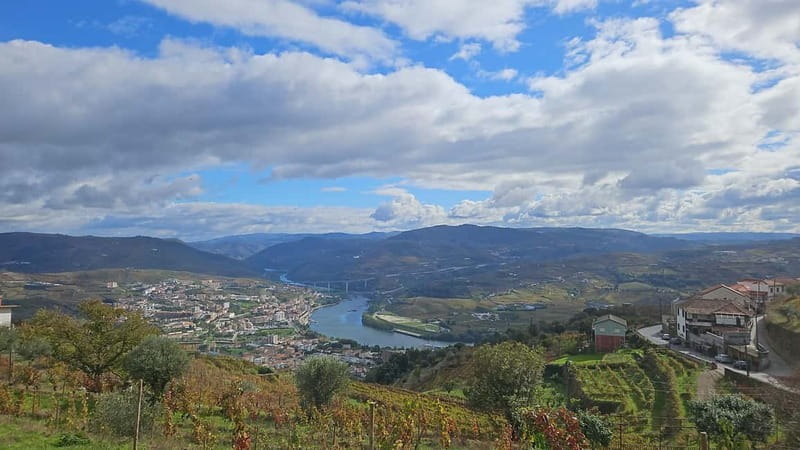 Douro: Traditional Harvest Lunch at Quinta de Sobre a Fonte - Grape Harvesting and Winemaking Insights