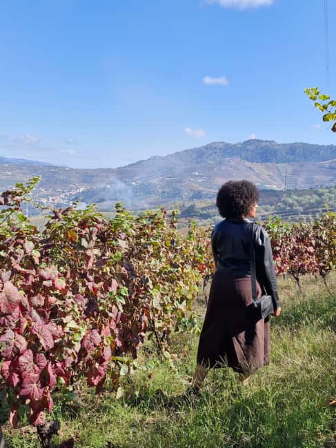 Douro Valley: 2 Vineyard Visits with Lunch and River Cruise - Key Points