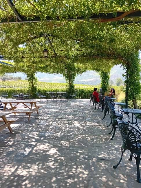 Douro Valley: 2 Vineyard Visits with Lunch and River Cruise - Practical Tips for the Tour Day