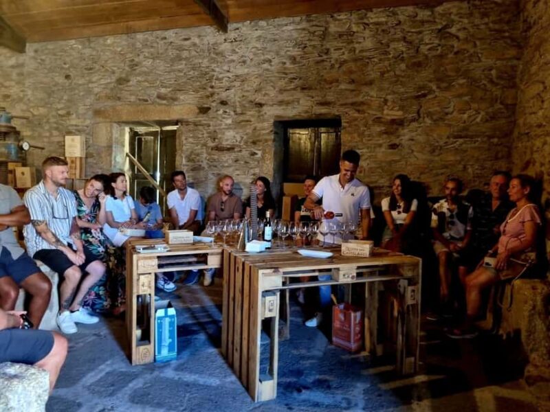 Douro Valley: 2 Vineyard Visits with Lunch and River Cruise - Why Choose This Douro Valley Tour?