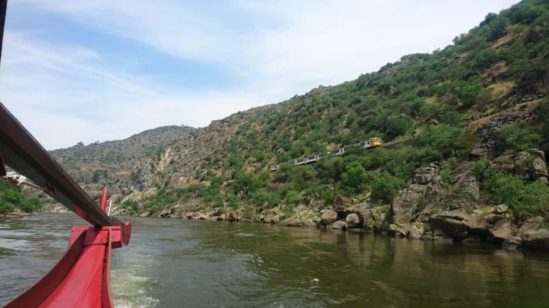 Douro Valley: 2 Wineries, Lunch & Boat - Discover the Douro Valley’s Charm in a Private Full-Day Tour