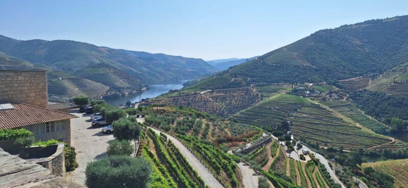 Douro Valley: 2 Wineries, Lunch & Boat - Key Points