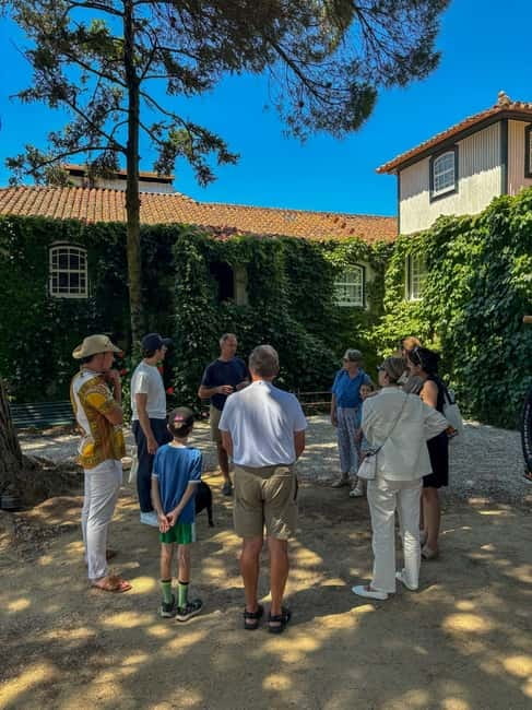 Douro Valley: 4x4 Safari and Vineyard Visit - Visiting Romanesque Monuments and Cultural Heritage