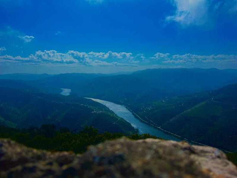 Douro Valley: A Day in Douro Valley Tasting The Best Wines - Discover the Charm of the Douro Valley on an Exclusive Day Trip