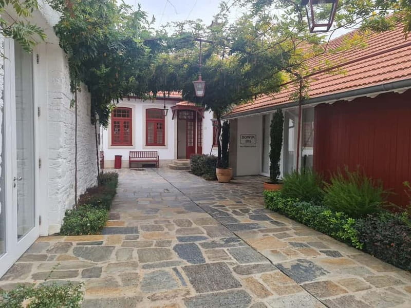 Douro Valley: A Day in Douro Valley Tasting The Best Wines - Gourmet Lunch at a Famed Quinta or DOC Restaurant