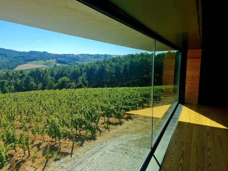 Douro Valley: A Day in Douro Valley Tasting The Best Wines - Afternoon Wine Tasting in the Douro’s Finest Estates