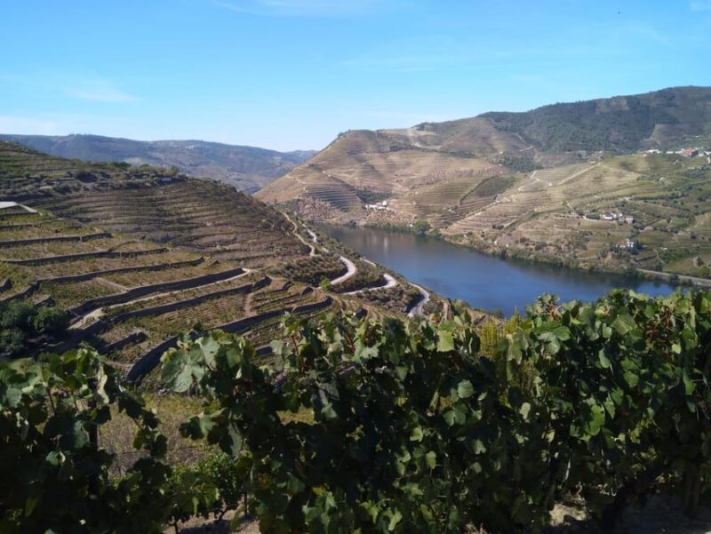 Douro Valley & Amarante - from Porto, Braga or Guimarães - The Douro Valley & Amarante Tour: A Complete Day of Scenic Beauty and Wine Tasting